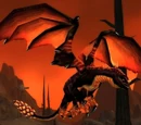 Black Drake