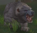 Vicious Gray Bear