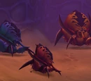 Three Bugs