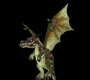 Plagued dragonflight