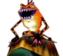 Snapper