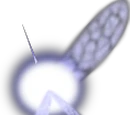 Navi