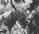 Baga Tree