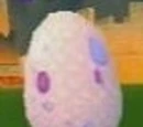 Dragon Eggs