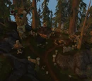 Camp Oneqwah