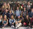 The Amazing Race 7 Teams
