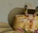 Crab