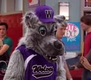 Wacky the Wolf
