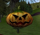 Pumpkin Buffer
