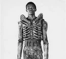 Bolaji Badejo