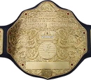 UWF Championship