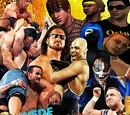 WEDF Royal Rumble 2