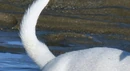 Example2.png