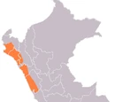 Cultura moche