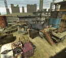 Junk Flea