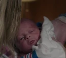 Scavo-Mayer baby