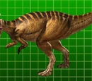 Pachycephalosaurus