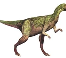 Dryosaurus