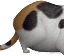 Mr. Twitches