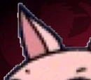 Yan Yan