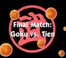 Final Match: Goku vs. Tien