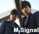 M Signal