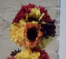 Contessa Crafts