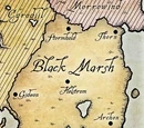 Ciénaga Negra