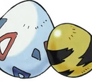 Huevo Pokémon
