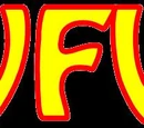 WFW (World Fanatic Wrestling)