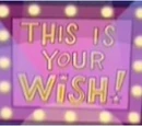 This is Your Wish (TV Show)