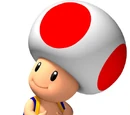 Toad