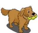 Tennis Retriever