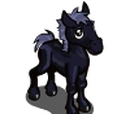 Black Tennessee Foal