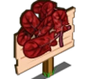 Red Spinach