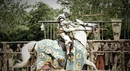 Knight of the Flowers.png