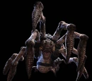Corpser