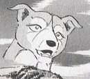 Kamakiri's Mate
