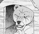 Taro (GDWO)
