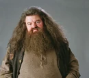 Rubeus Hagrid