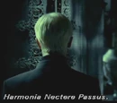 Harmonia Nectere Passus