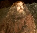 Godric Grifondoro