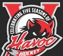 2008-09 Huntsville Havoc Season