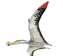 Anhanguera