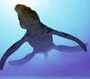 Liopleurodon