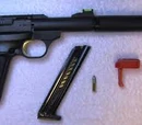 .22 Pistol