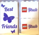 6006139 Friends Promotional Bricks