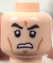 2013 Clone Head.png