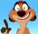 Timon