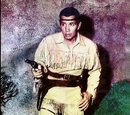 Tonto